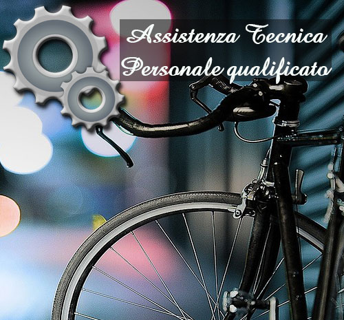 tecnical assistance 